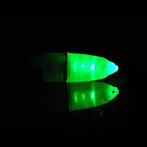 Portable Light Fishing Float